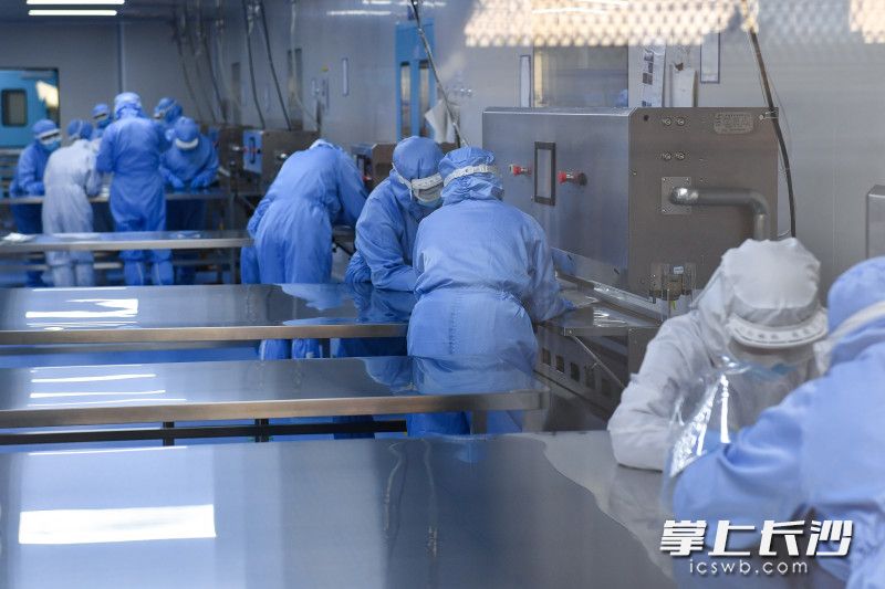 楚天思优特的生产车间内，透过明亮的窗户，数十名“全副武装”的工作人员正在产线各个环节忙碌。长沙晚报全媒体记者 王志伟摄